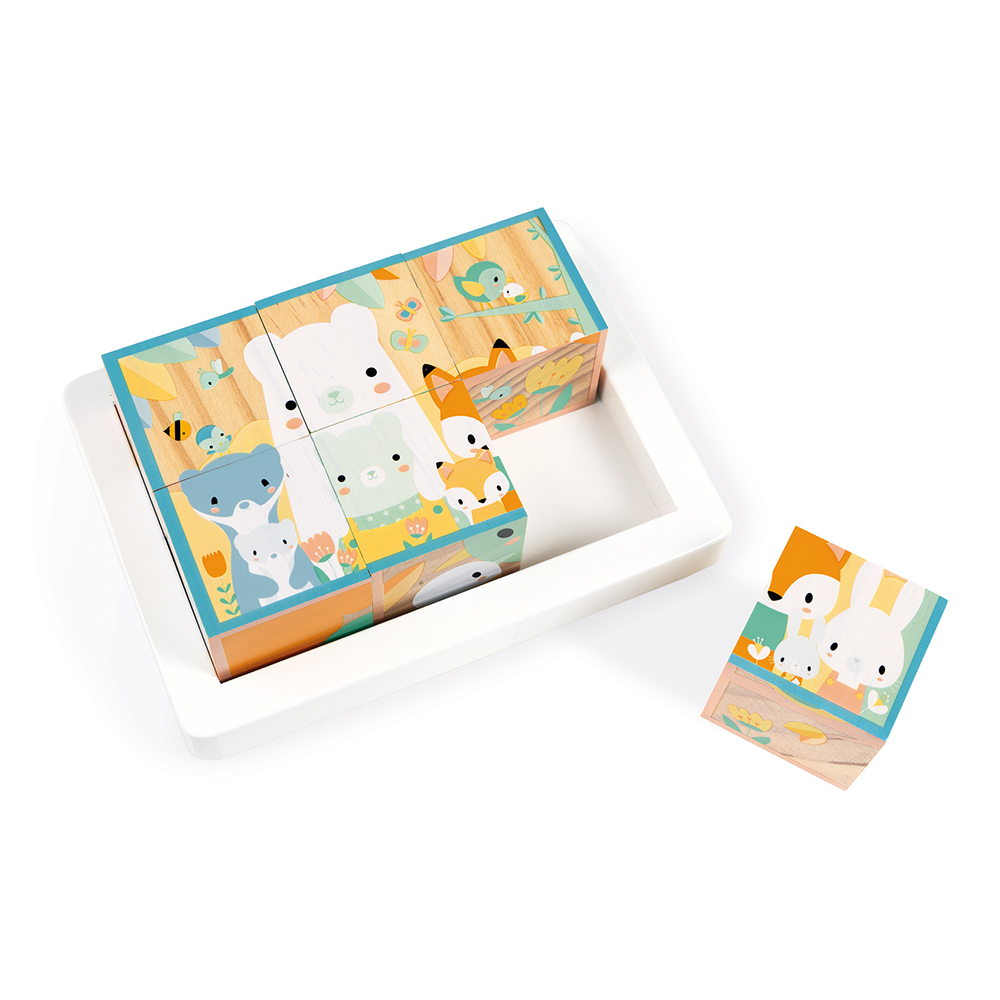 BARQUETTE 6 CUBES PURE