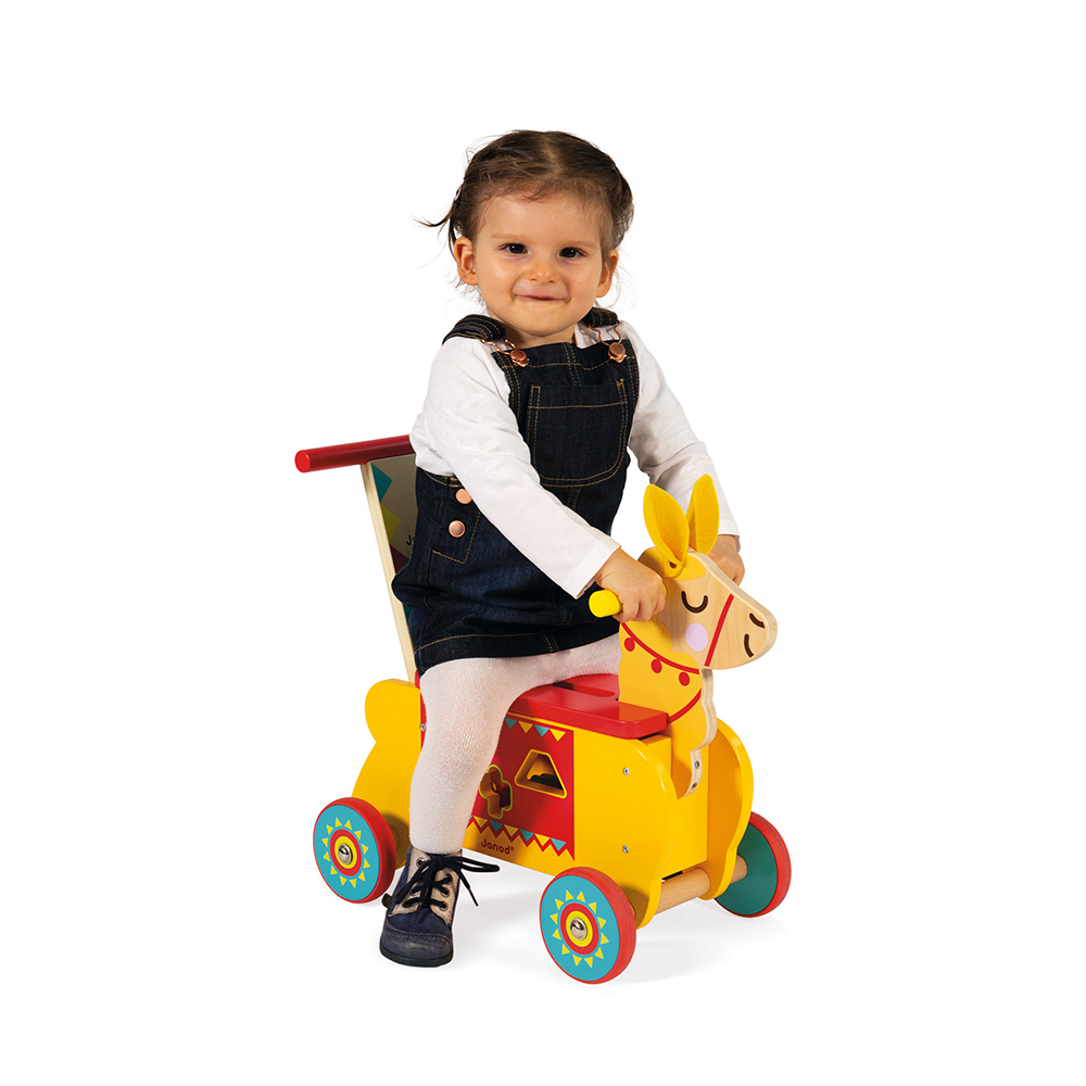 PORTEUR LAMA – Image 3