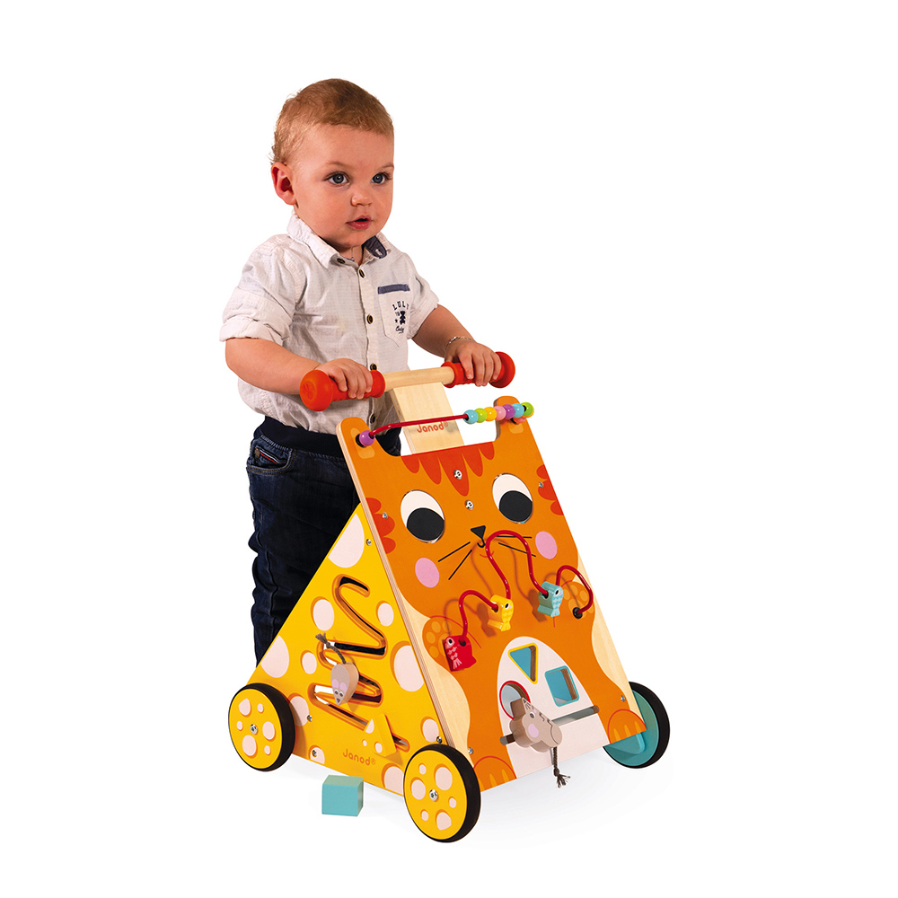 CHARIOT MULTI-ACTIVITES CHAT – Image 5