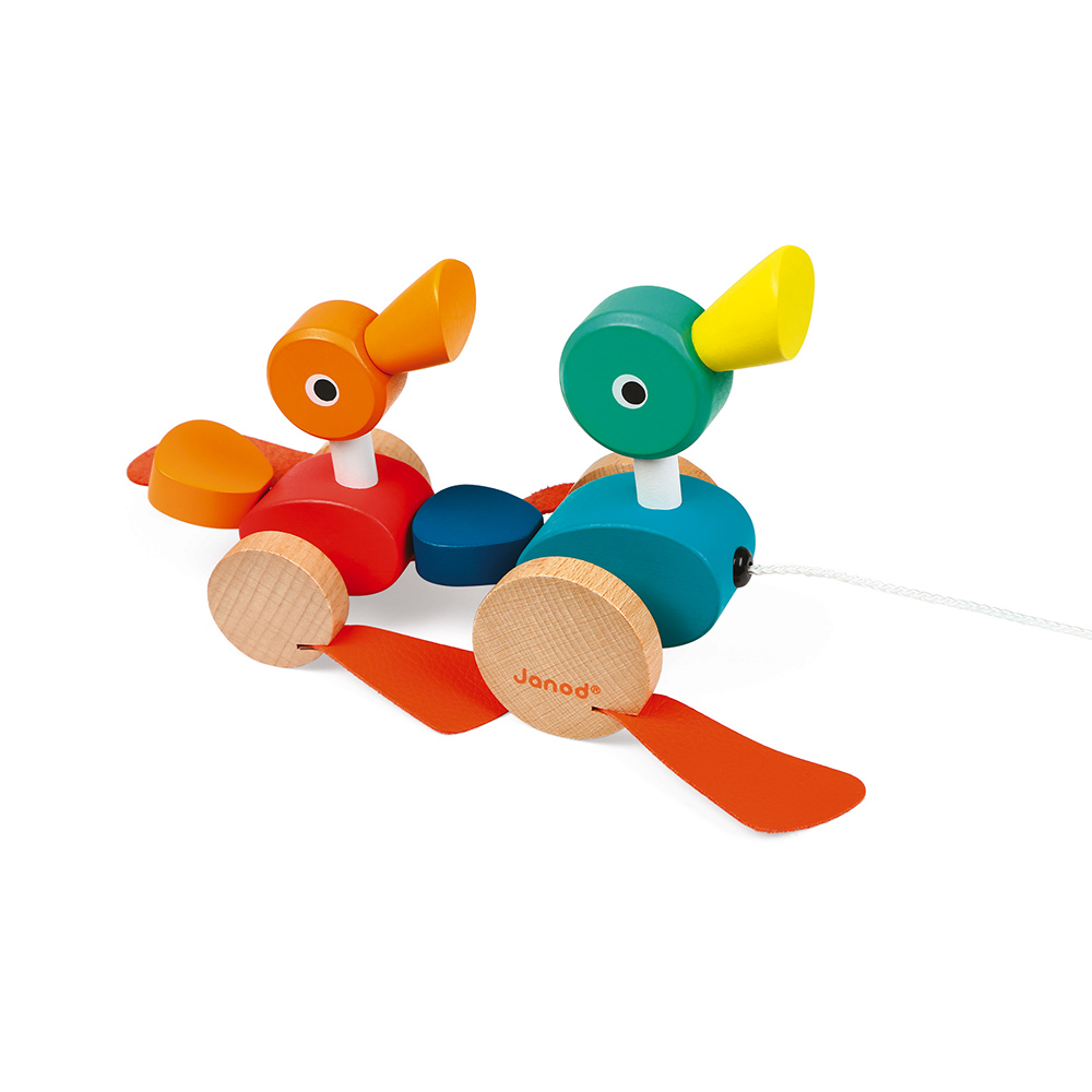 CANARDS A PROMENER ZIGOLOS – Image 2