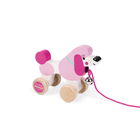 CANICHE A PROMENER - MY DOG