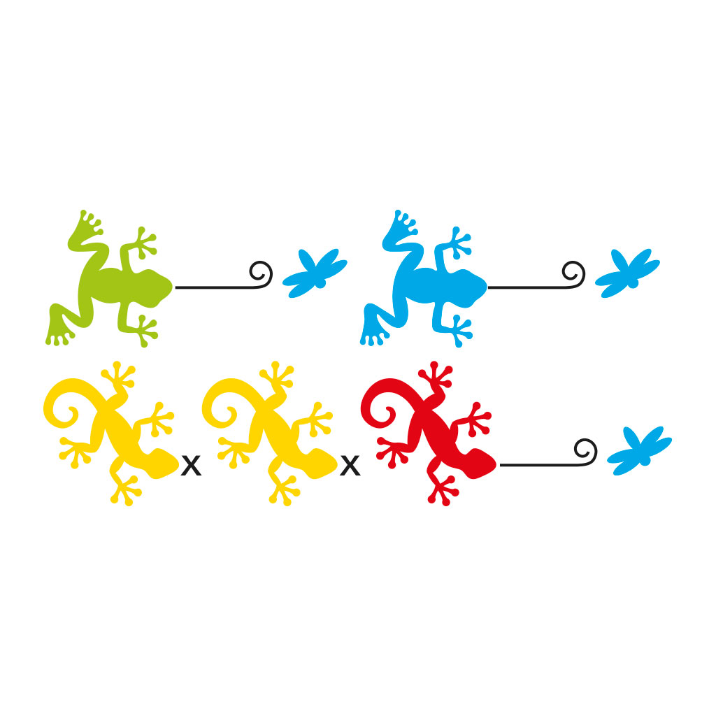 GECKO GOURMAND – Image 4