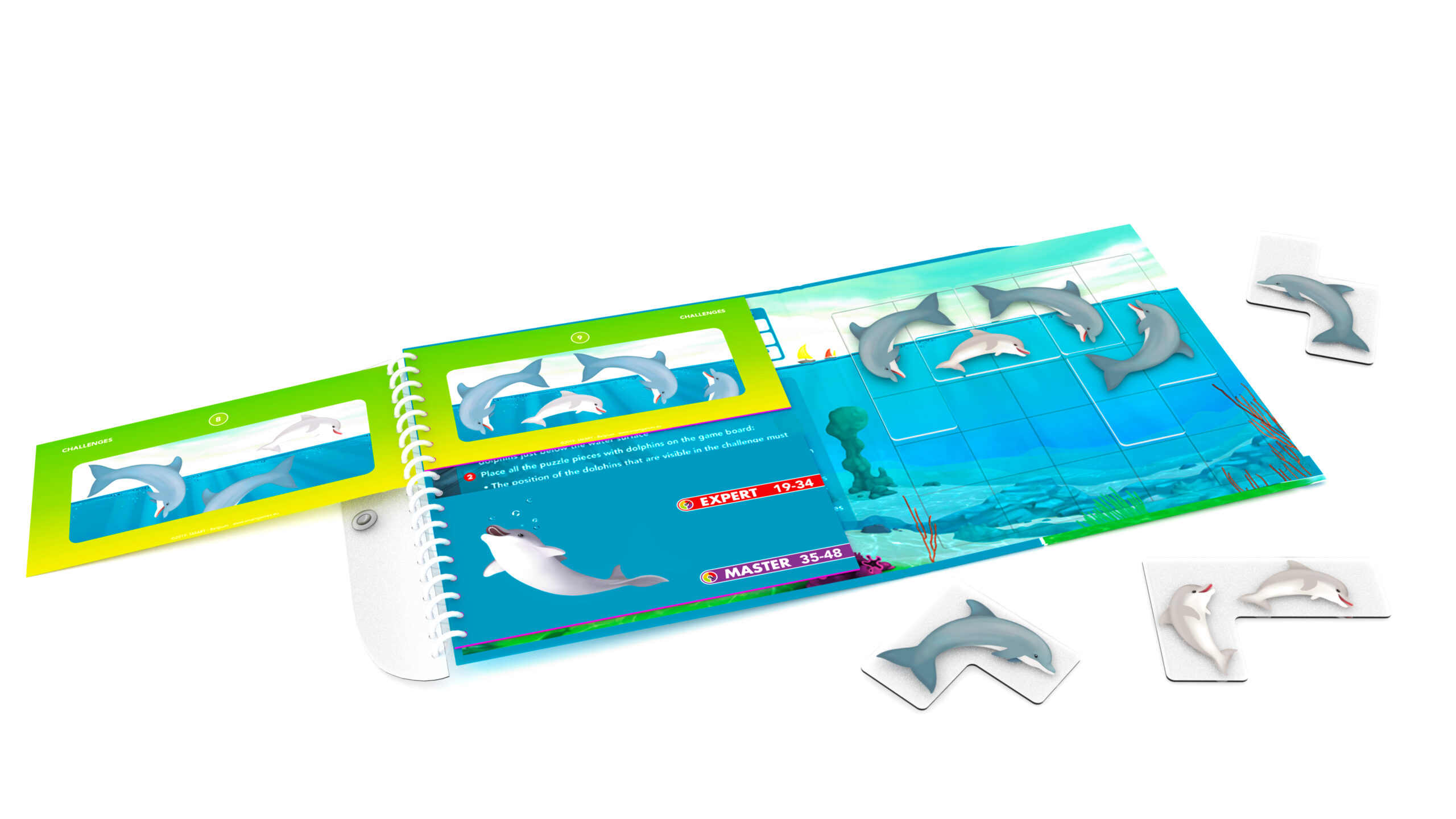 DAUPHINS JOUEURS – Image 2