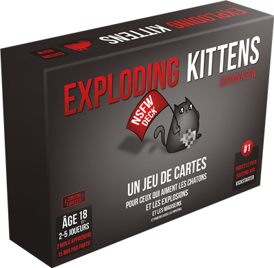 EXPLODING KITTENS EDITION NSFW