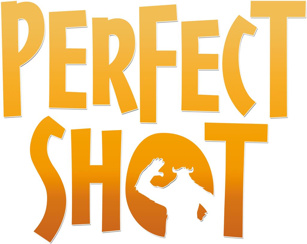 PERFECT SHOT – Image 2