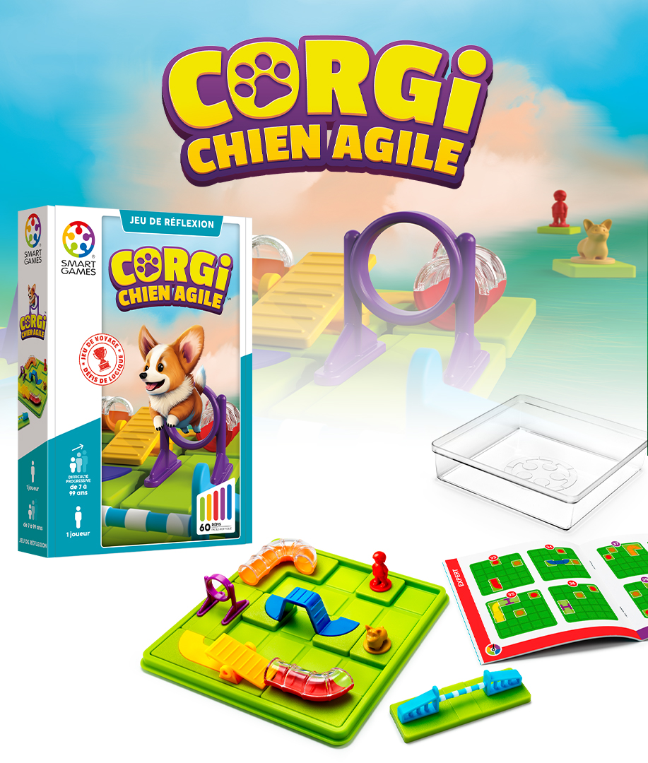 CORGI CHIEN AGILE – Image 4