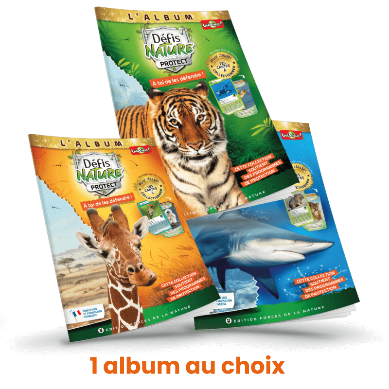 ALBUM TIGRE - DEFI NATURE PROTECT – Image 2