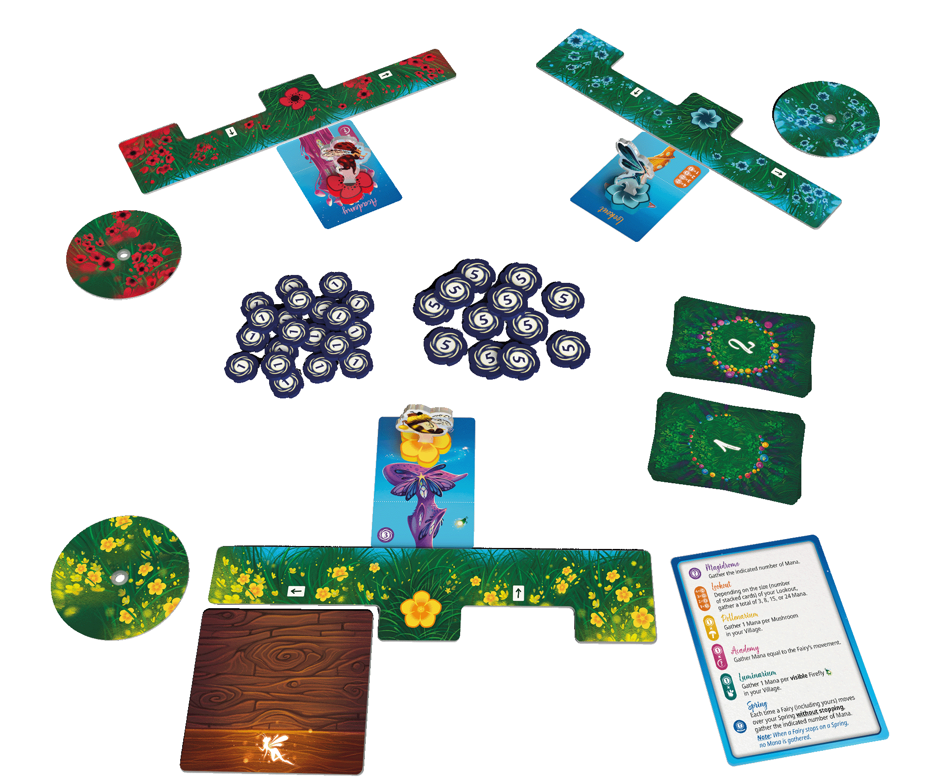 FAIRY RING – Image 2