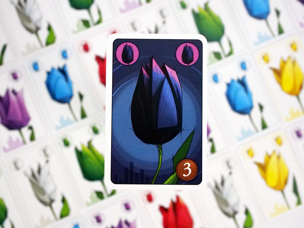 TULIP – Image 5